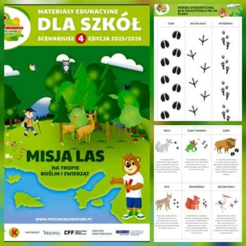 e8d81a93-144e-4a96-b6be-9dc84e788ffc