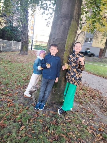 IMG_20251017_192443_73