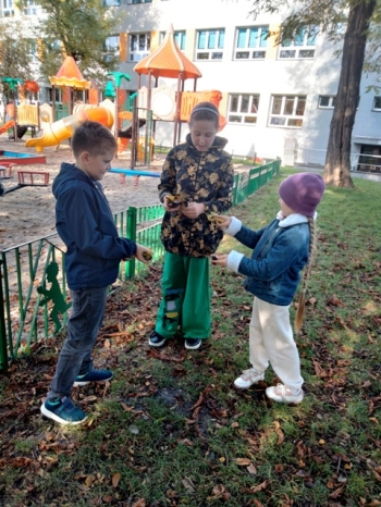 IMG_20251017_192443_107