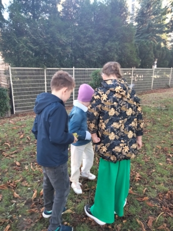 IMG_20251017_192443_120