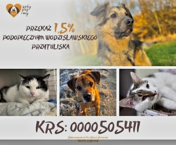1000136763