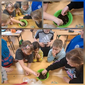 WhatsApp Image 2026-01-31 at 18.22.32 (3).jpeg