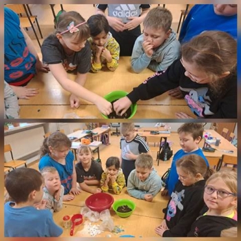 WhatsApp Image 2026-01-31 at 18.22.32 (4).jpeg