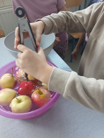 IMG-20260921-WA0010