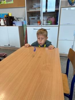 IMG_7133.jpeg