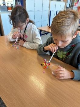 IMG_7255.jpeg