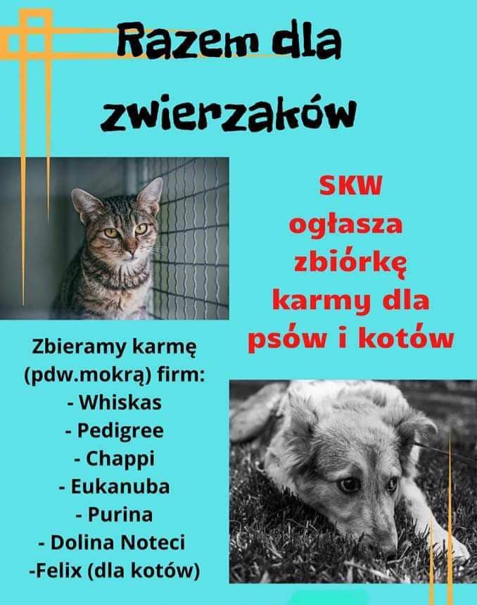 Razem dla zwierzaków