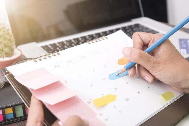 Harmonogram 2024/2025